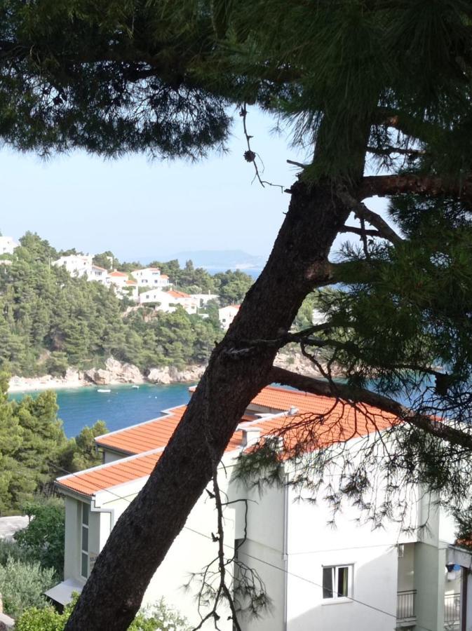 Nemira Beach Apartments Omiš Extérieur photo